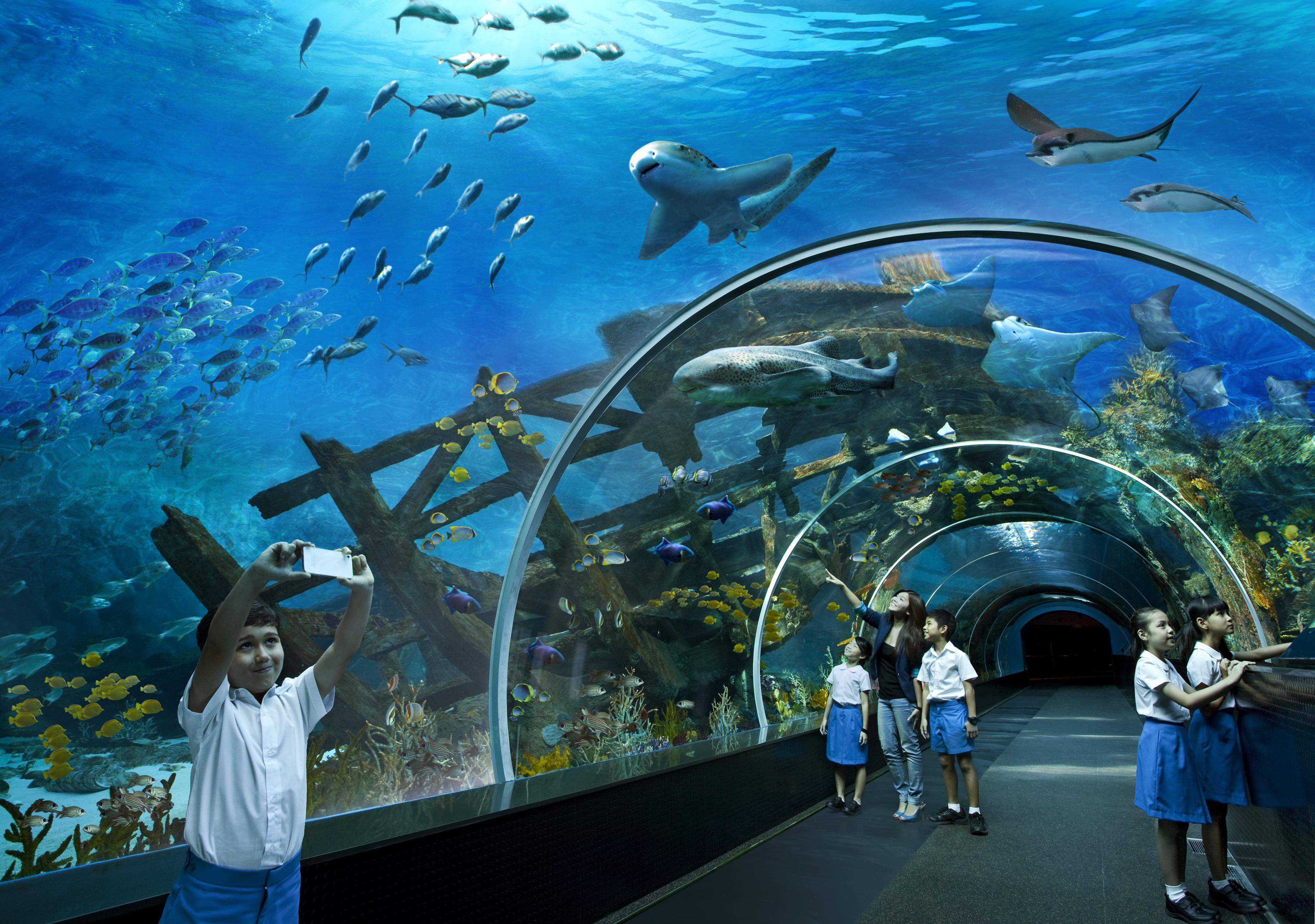Resorts World Sentosa - Hotel Michael سنغافورة المظهر الخارجي الصورة