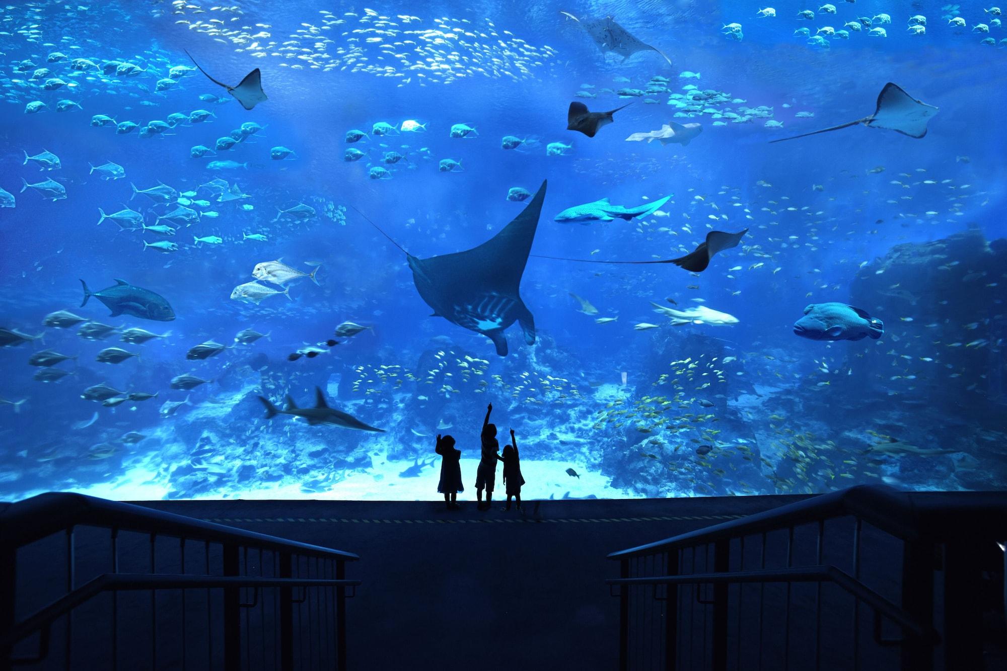 Resorts World Sentosa - Hotel Michael سنغافورة المظهر الخارجي الصورة