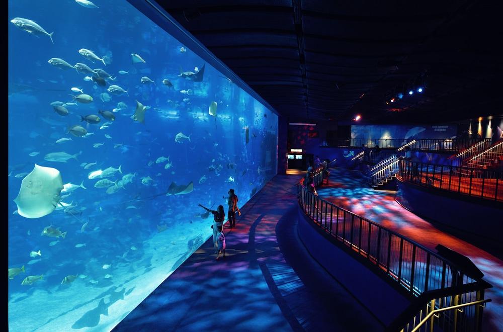 Resorts World Sentosa - Hotel Michael سنغافورة المظهر الخارجي الصورة